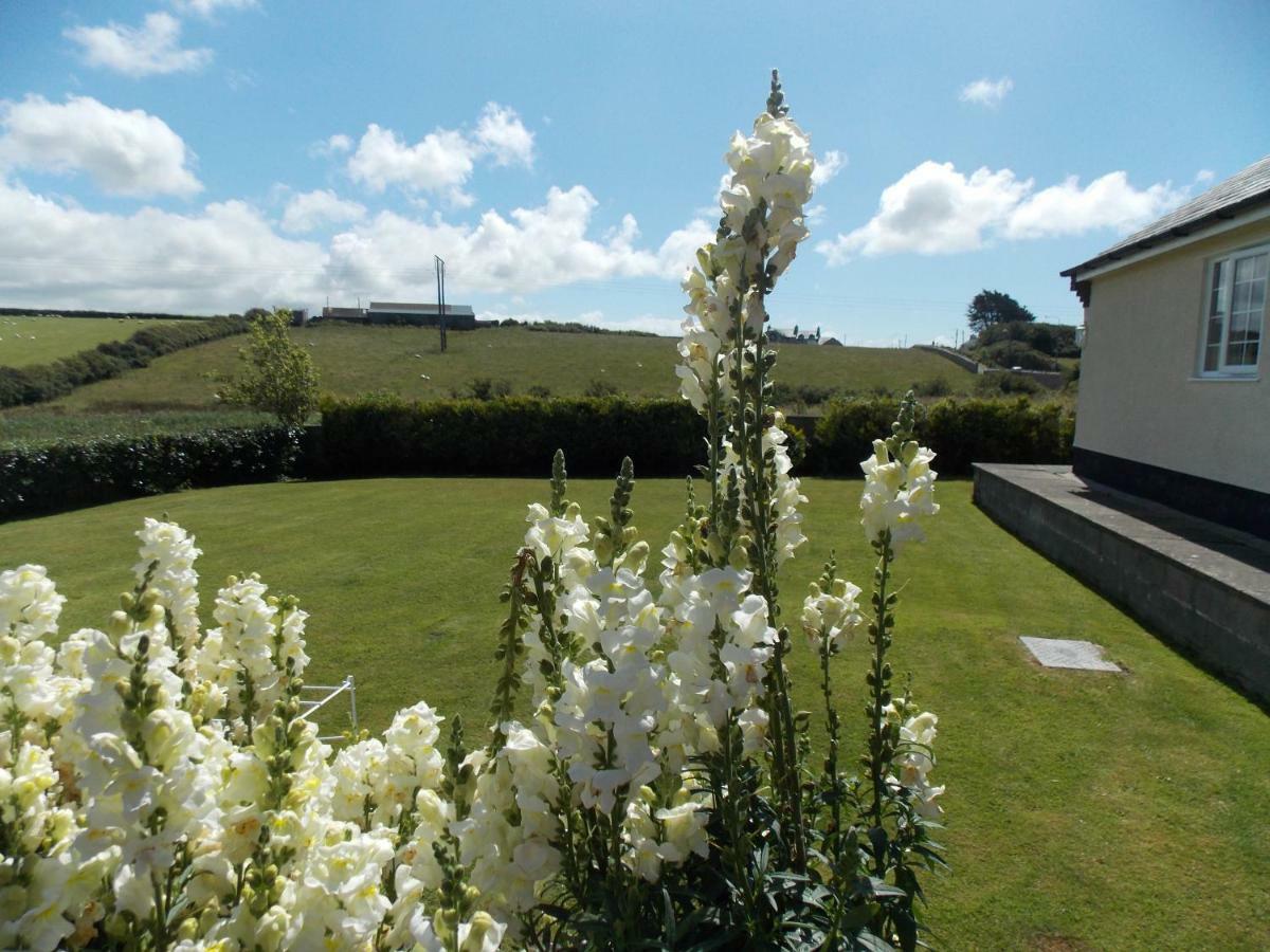 Craig Eithin B&B Caergeiliog Exterior foto